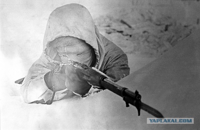 Фины забыли 39 год?