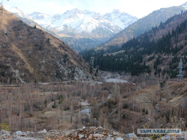 Деревенская Америка
