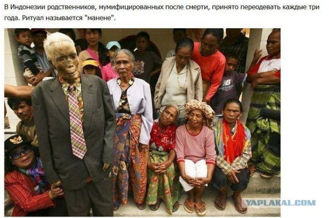 20 картинок из-за которых вы не уснете этой ночью.