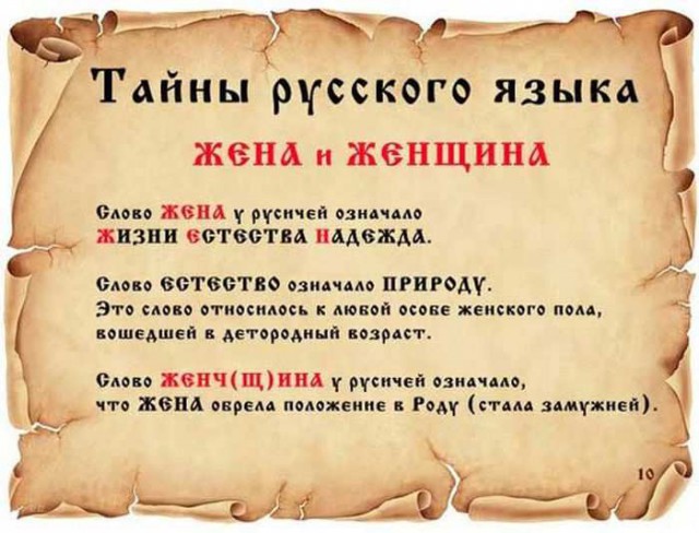 20 фактов обо всем