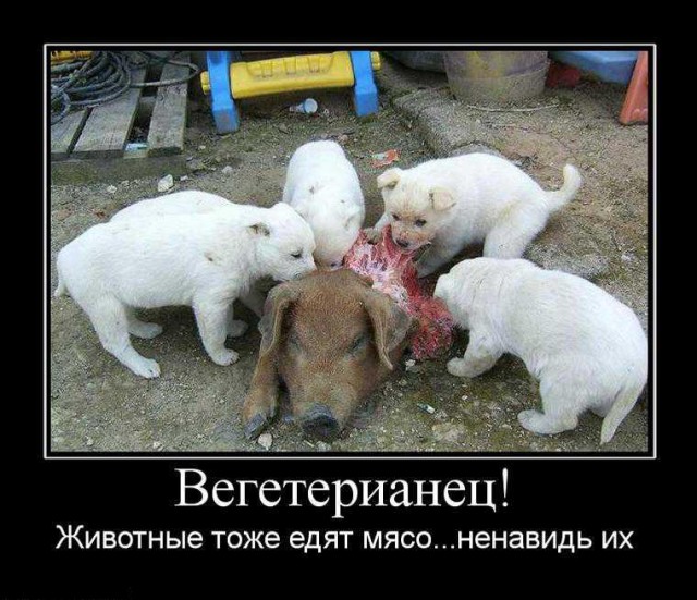6 причин есть веганов
