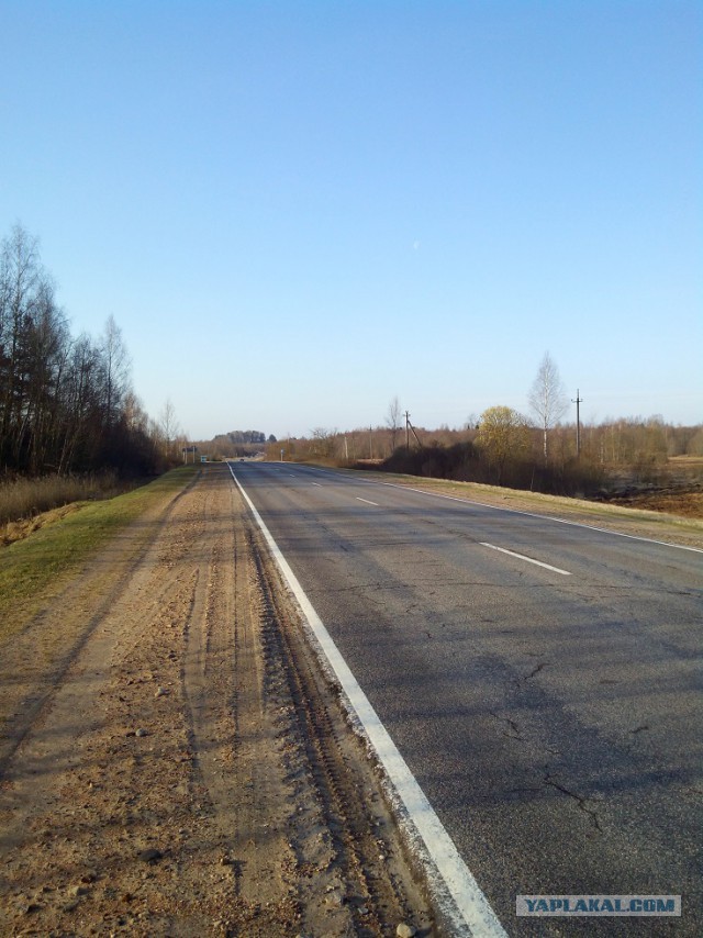 Миграция московского планктона