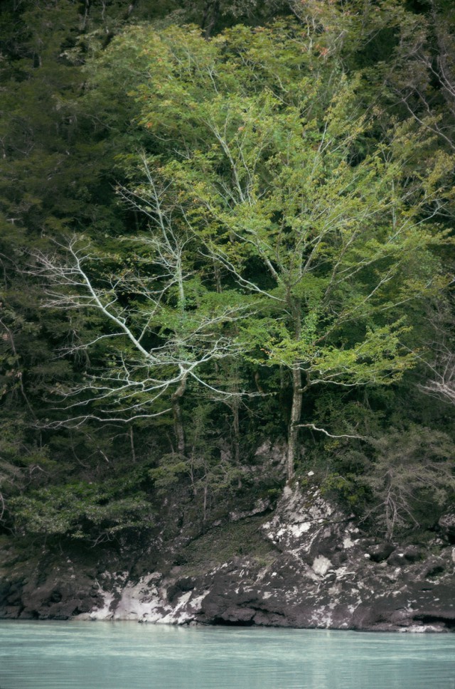 Моё увлечение фотографией