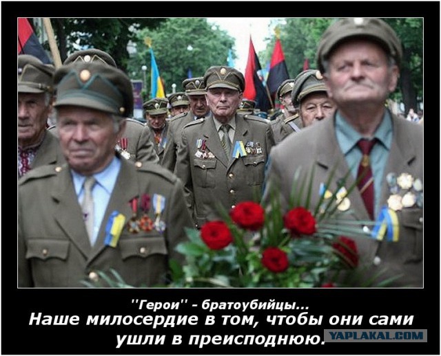 Отчеты о войне