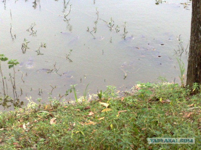 Что такое Бангладеш?