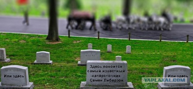 Минутка сумасшедшего кладбищенского юмора