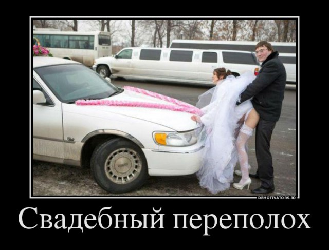 Веселые картинки