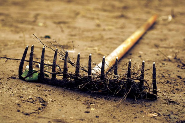 Подборка картинок 20.02.16