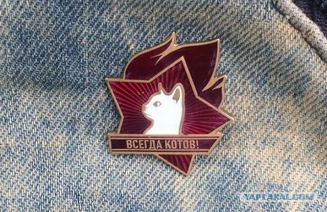 Судьба коллектора