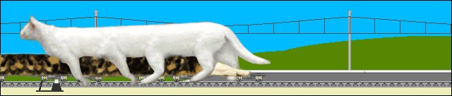 Котожаба: Тряптих