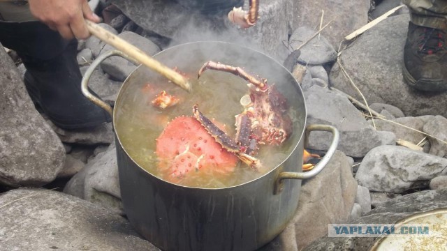 Меня обидел работодатель, ну а потом и я обиделся