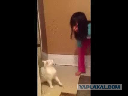 А ты чего ждала?