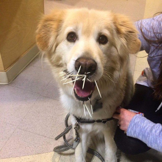 Подборка интересных и веселых картинок