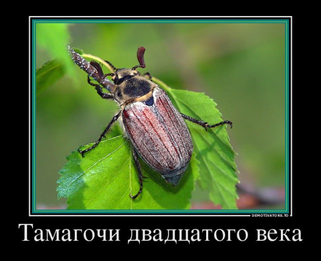 Смешные комментарии 29.05.2016