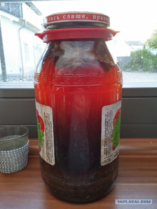 Квас домашний