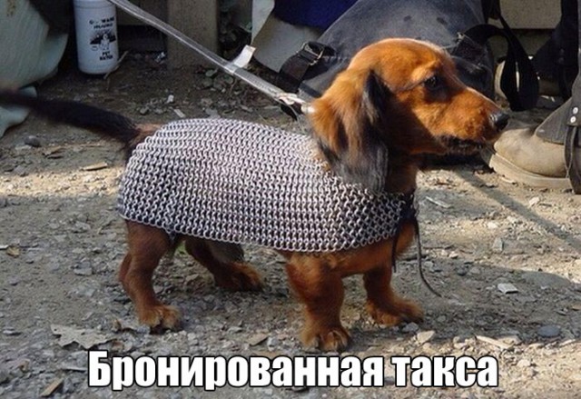 Подборка интересных и веселых картинок