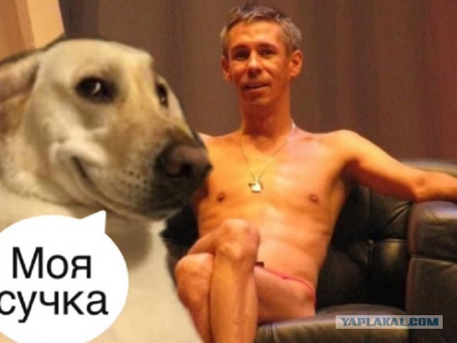 Знаменитости, в карьере которых что-то пошло не так