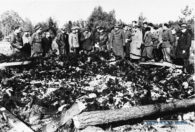 В эстонских, европейских лагерях. 1941-44 г.