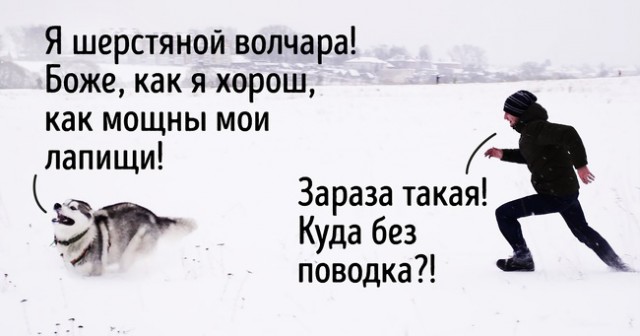 Картинки для тех, кто пахал и устал
