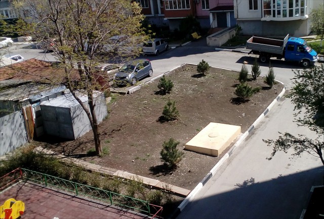 В Севастополе украли деревья, высаженные в память погибших в Кемерове