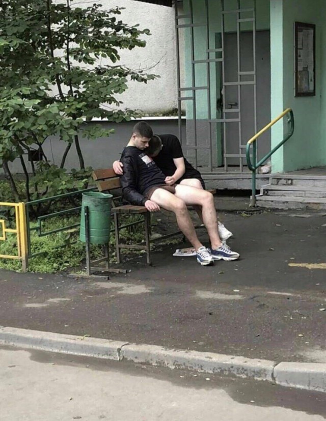 Скотсети и прочие интернеты 09.08.2018
