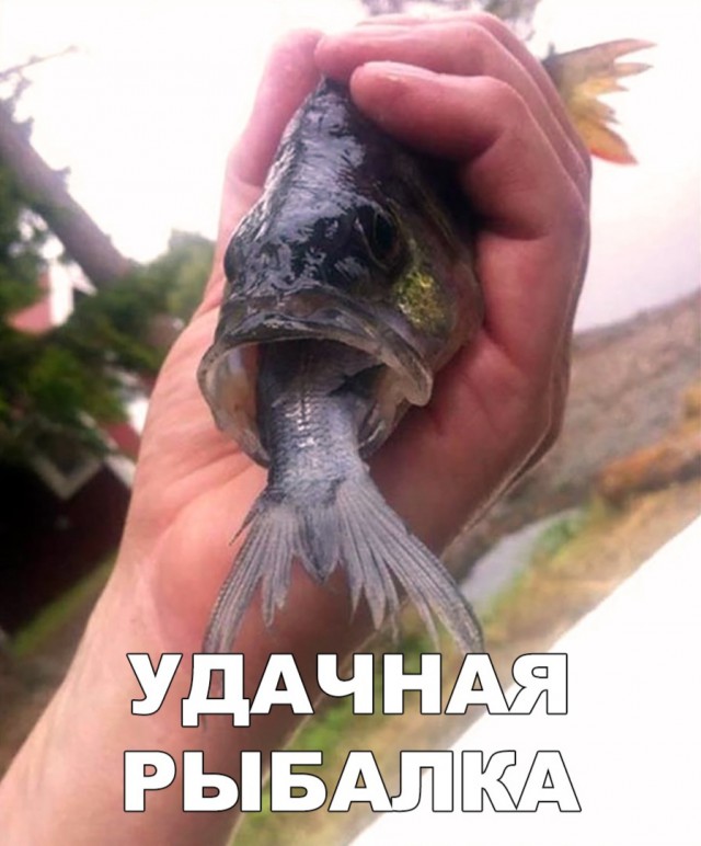 Нестандартный юмор
