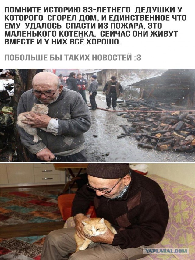 Трогательные истории в фотографиях