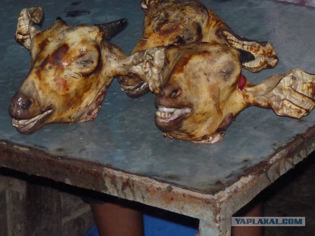 Кузнечики, аллигатор, хлеб и… кукурузный грибок: самые безумные консервы