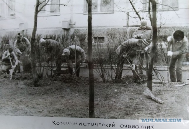 1985 – за год до трагедии