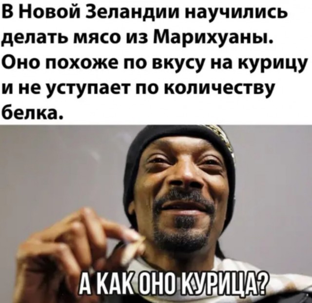 Бредзона 29.08.20