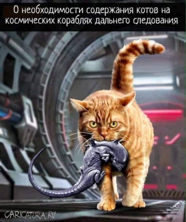 Картинки разные