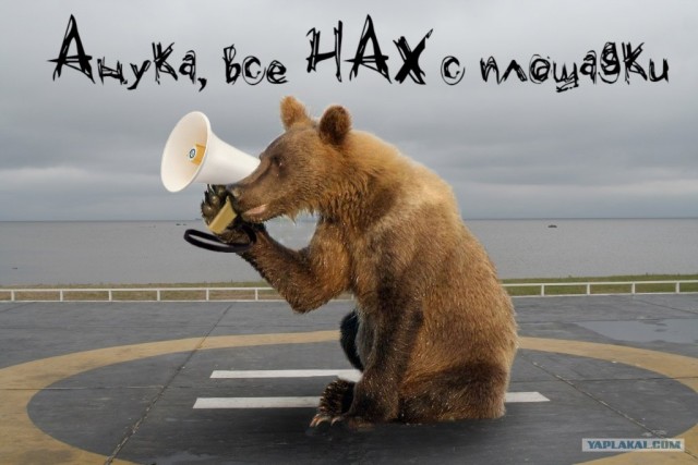 Маша-а-а!Аууууу!