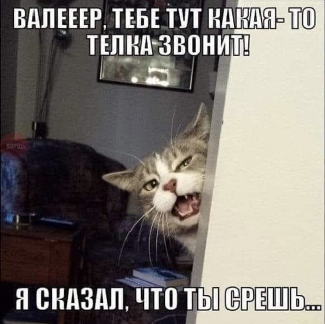 Баянисто-небаянистый юмор 17.02.21