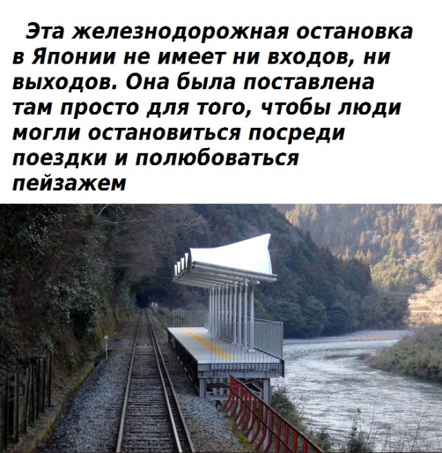 Факты, доказывающие, что Япония не похожа ни на одну другую страну .