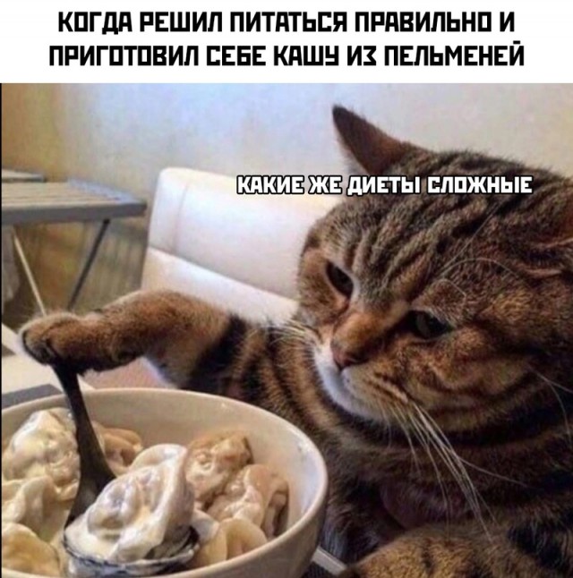 Картинки и мемы для настроения 15.07.2021