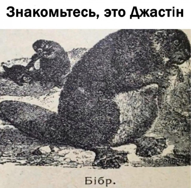 Юмор и прикольные картинки