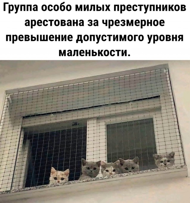 Кретинизмы из сети 04.09.21