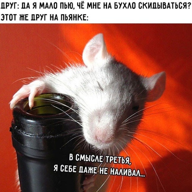 Алкопост 10.09.21