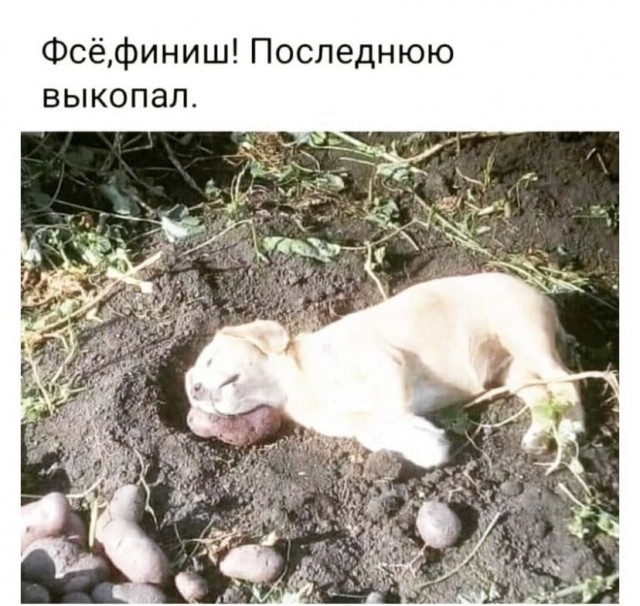 Картинки и мемы, всем прекрасных выходных