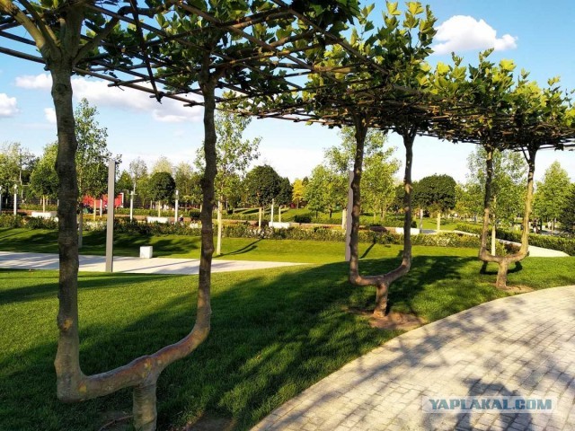 Краснодар. Парк Галицкого