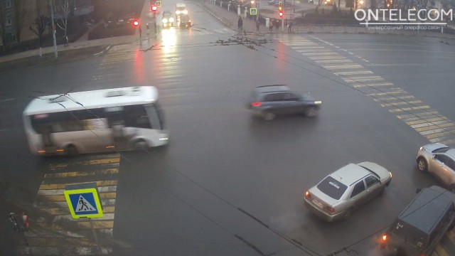 Стадо баранов