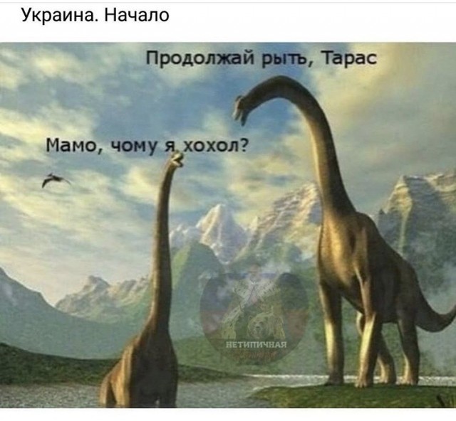 Русофобные настроения пугают даже иностранцев