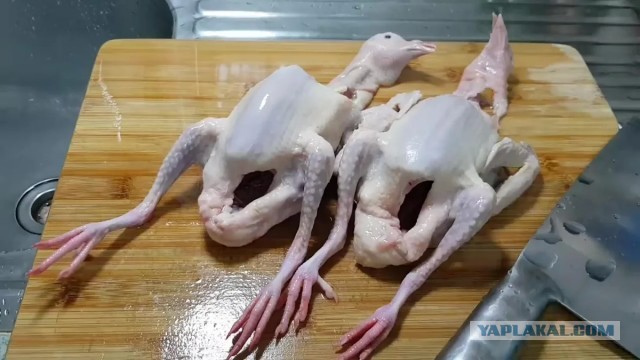 Но что-то пошло не так...