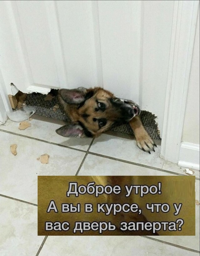 Картинки с надписями и всякие жизненные фразы