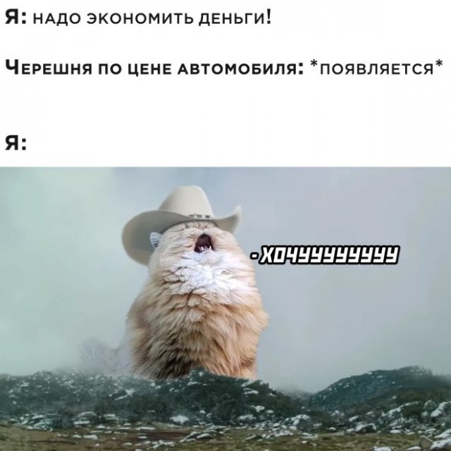 Картинки и мемы для настроения - 25