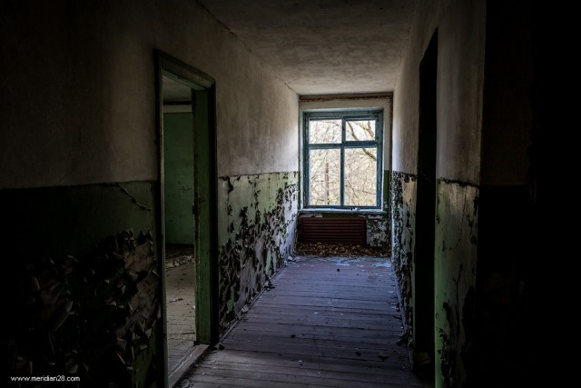 Зона отчуждения. Полесский радиационно-экологический заповедник. д.Погонное (Хойникский р-н, Гомельская обл)