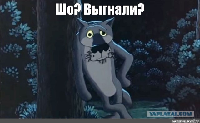 Минусы жизни в Канаде. Почему я улетела из Канады после 20 лет