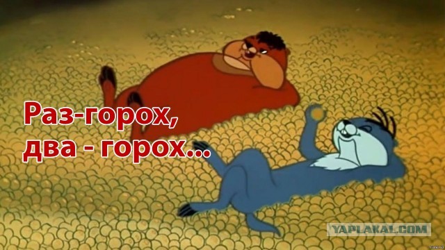 Садовник из США не мог понять, кто ворует его урожай