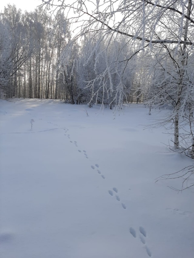Яповчане на рабочем месте