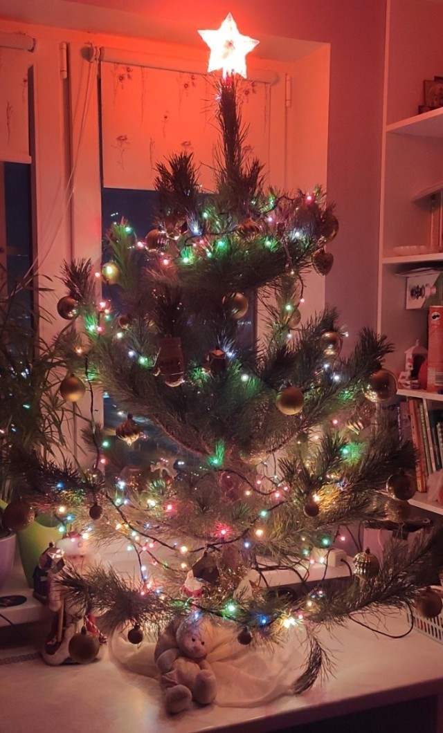 Выкладывайте свои елки!